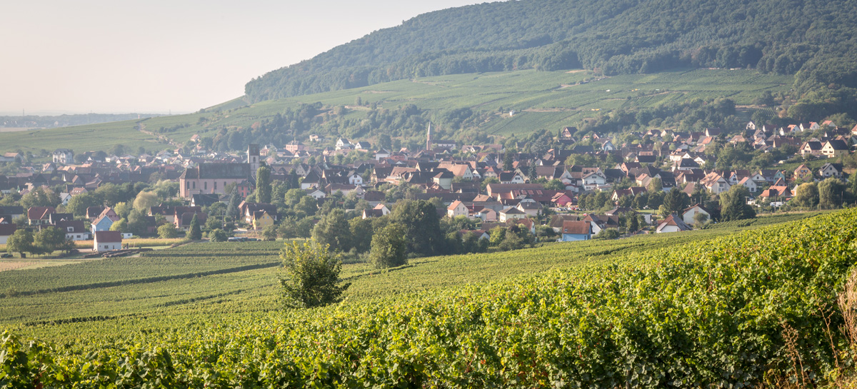 Quels sont les vins d’Alsace ? Illzach